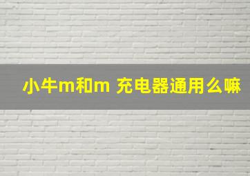 小牛m和m 充电器通用么嘛